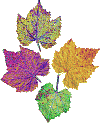 leafback_sm.gif (4039 bytes)